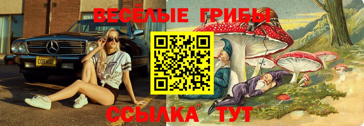 Галлюциногенные грибы MAGIC MUSHROOMS Лесозаводск