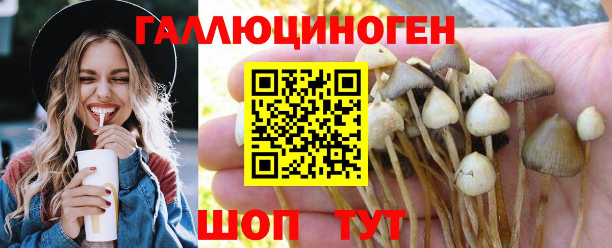 Псилоцибиновые грибы мицелий  Вход с VPN  Псилоцибиновые грибы Psilocybe  где можно купить наркотик  Лесозаводск 